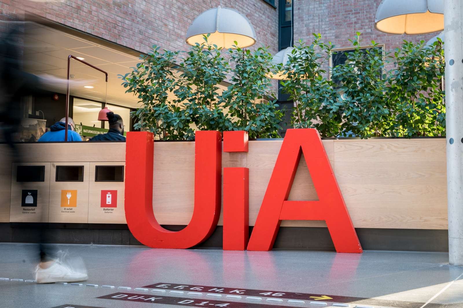 UiA Campus Kristiansand